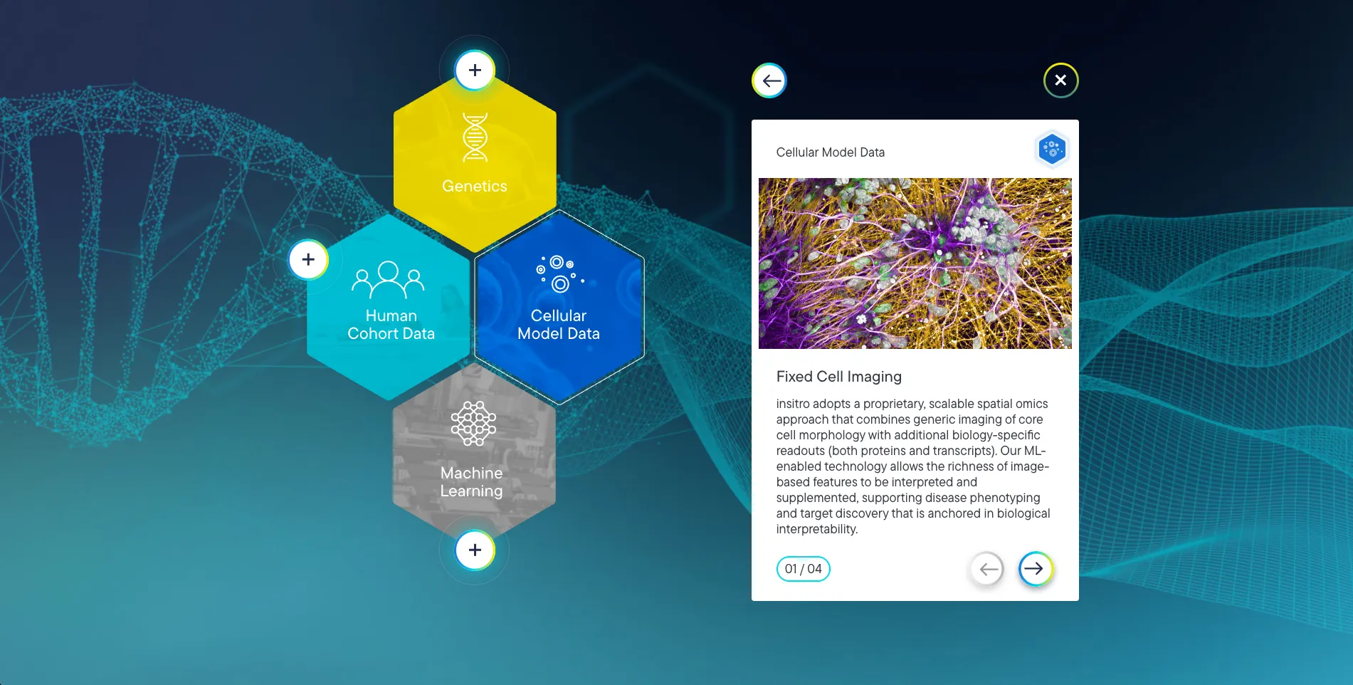Insitro platform explainer